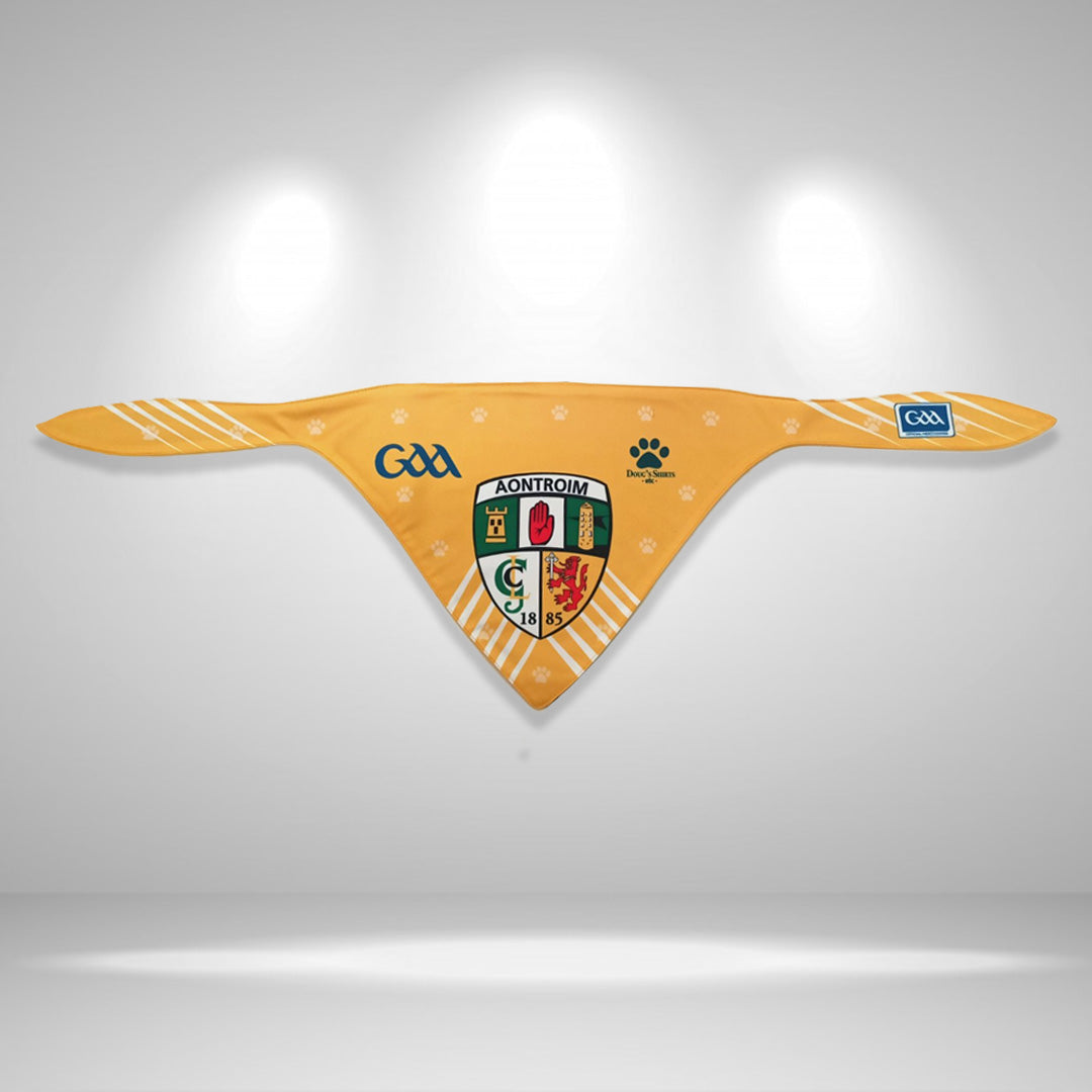 GAA Antrim