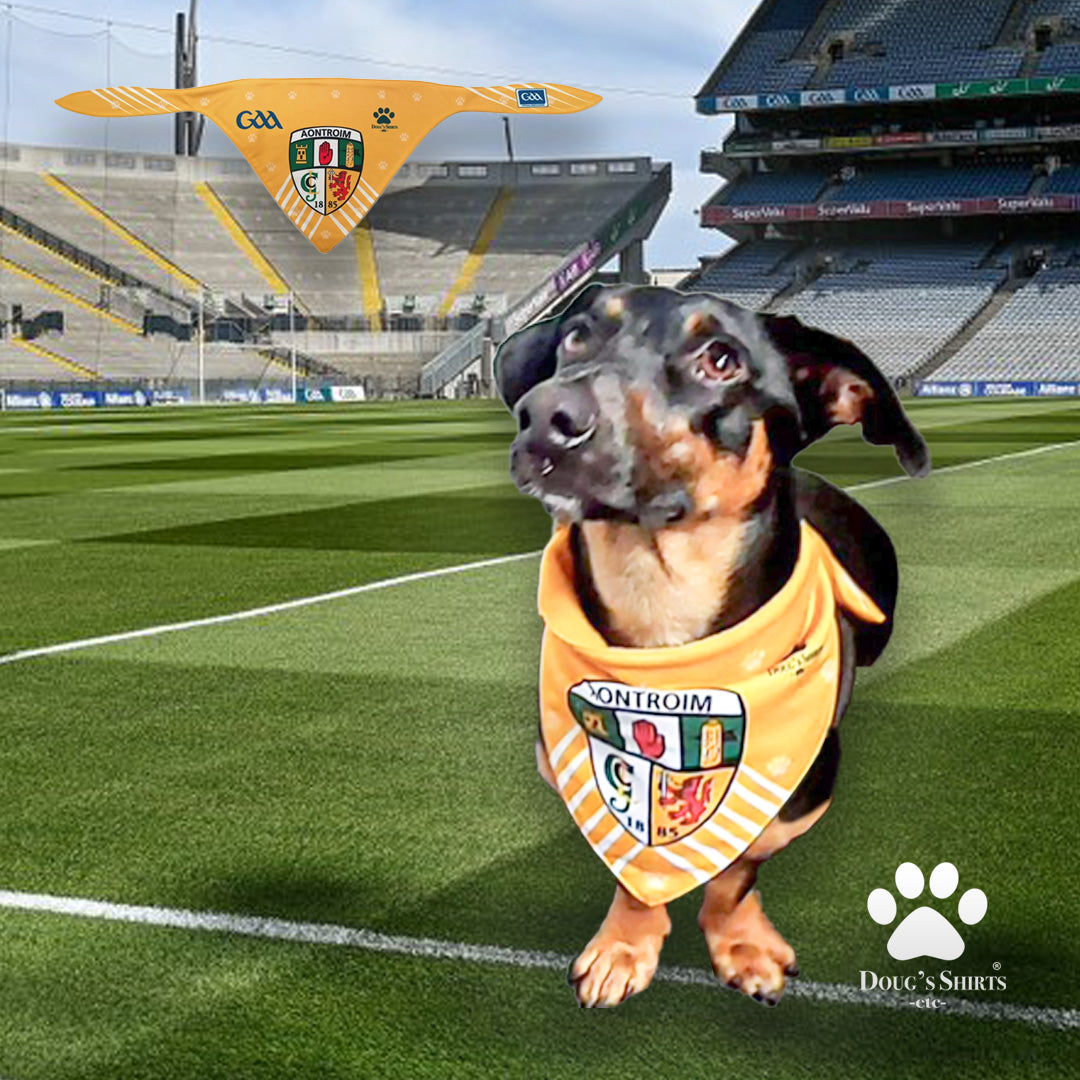 Antrim GAA Pet Bandana