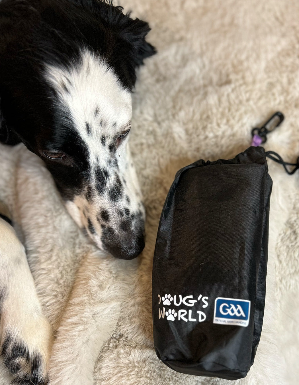 Dublin GAA Pet Towel with Waterproof Bag