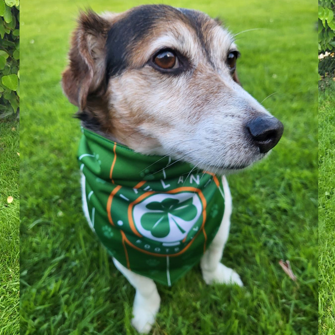 FAI Pet Bandana