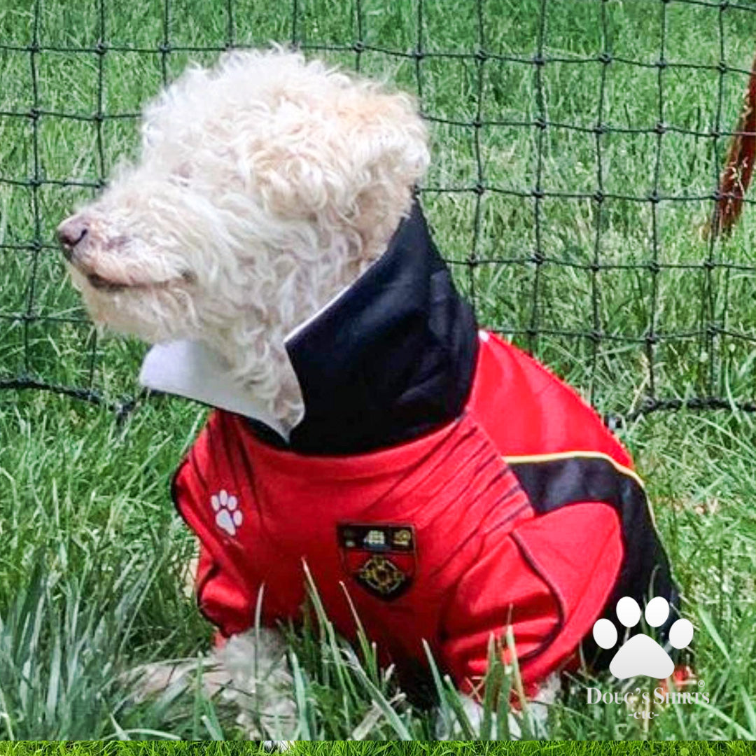 GAA Raincoat w Personalisation