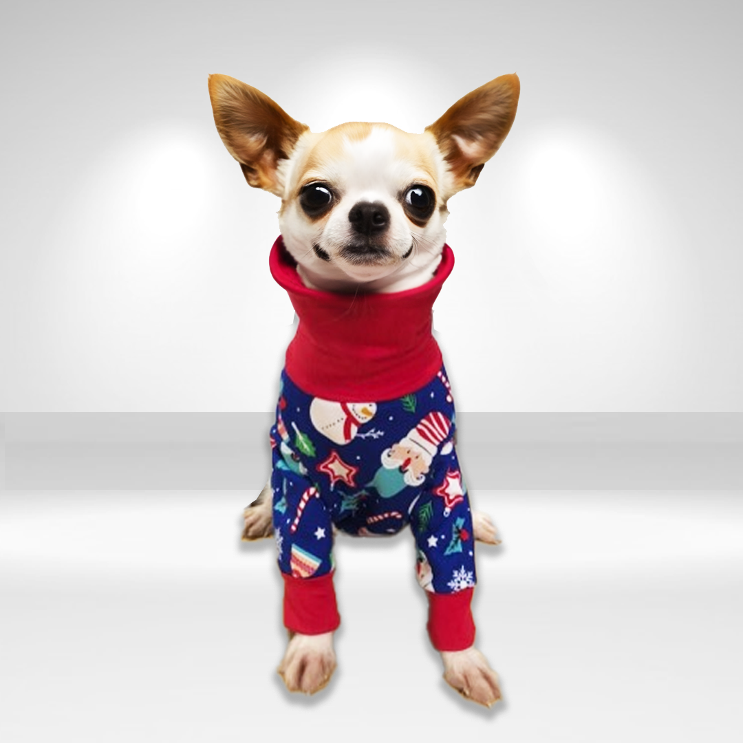 Festive Gnome Onesie and Jumper