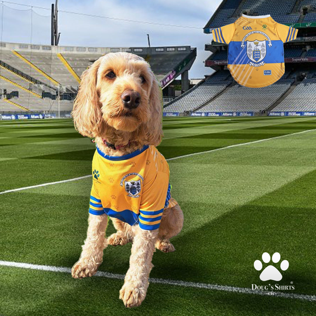 Dog Wearing Clare GAA PET Jersey