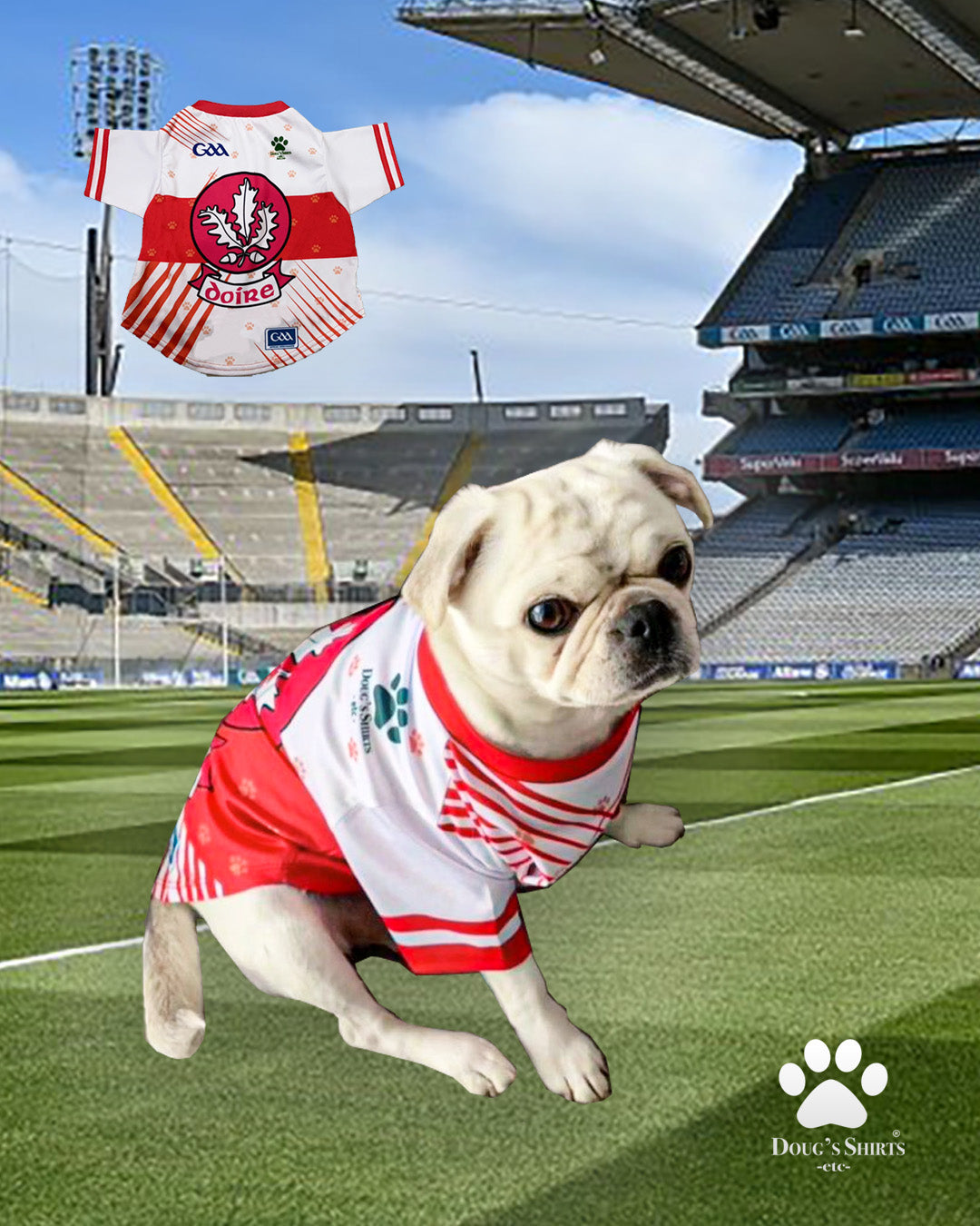 Derry GAA Pet Bandana