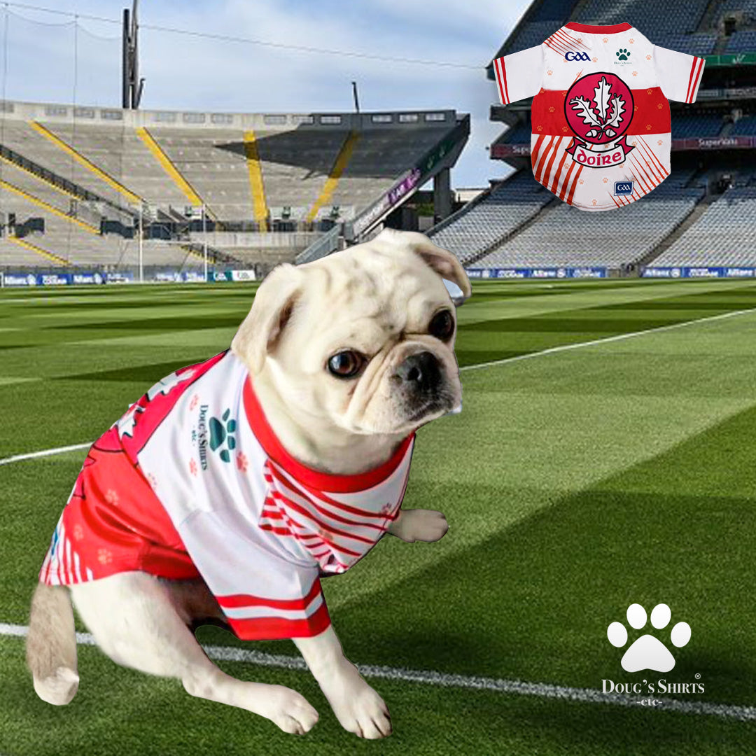 Derry GAA Pet Jersey
