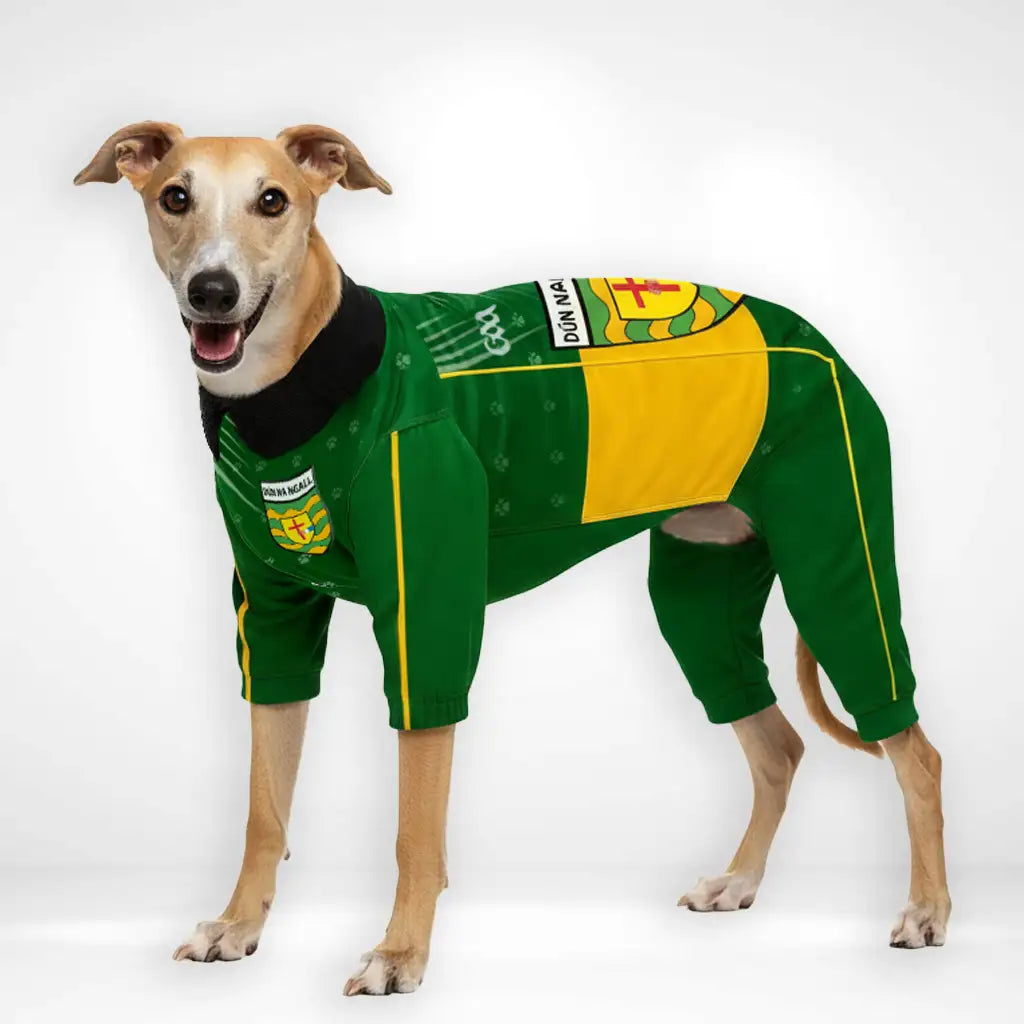 Donegal Dog Raincoat