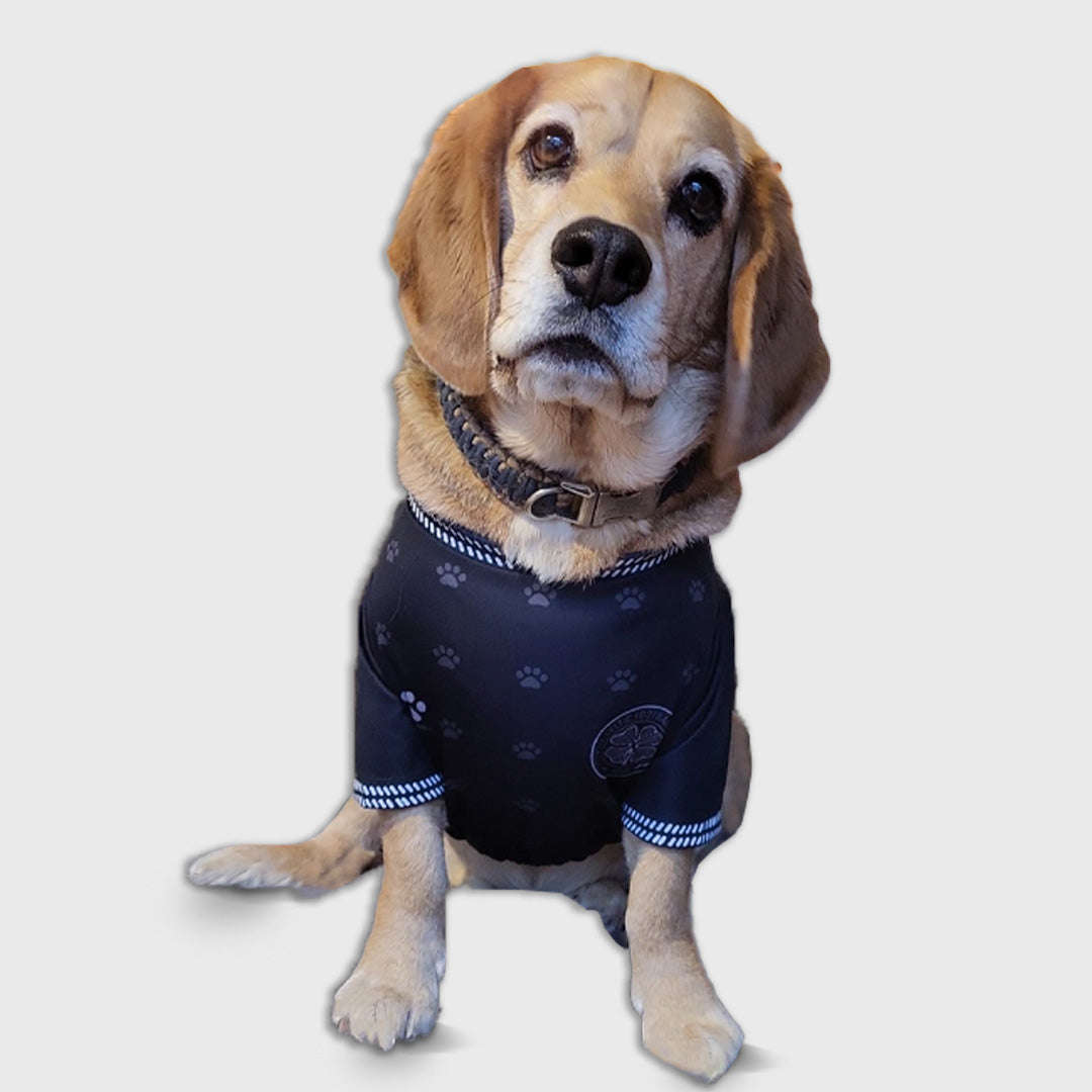 Celtic FC Away Pet Jersey