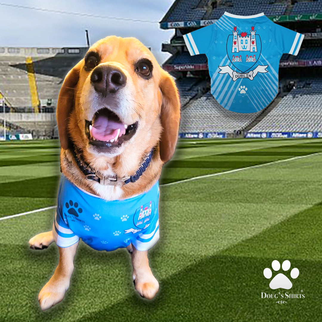 Dog Wearing Dublin GAA PET Jersey