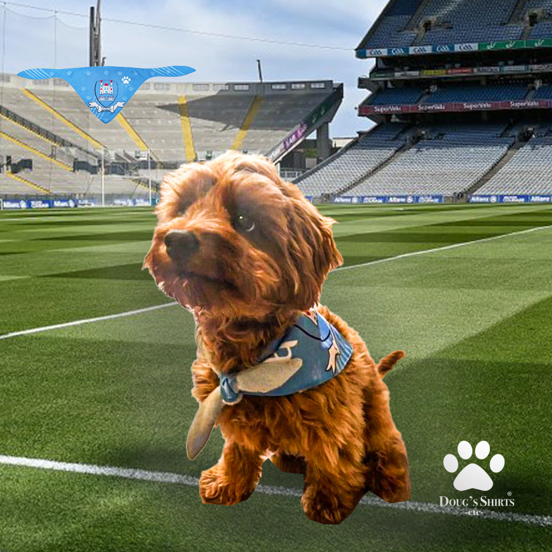 Dublin Pet Bandana