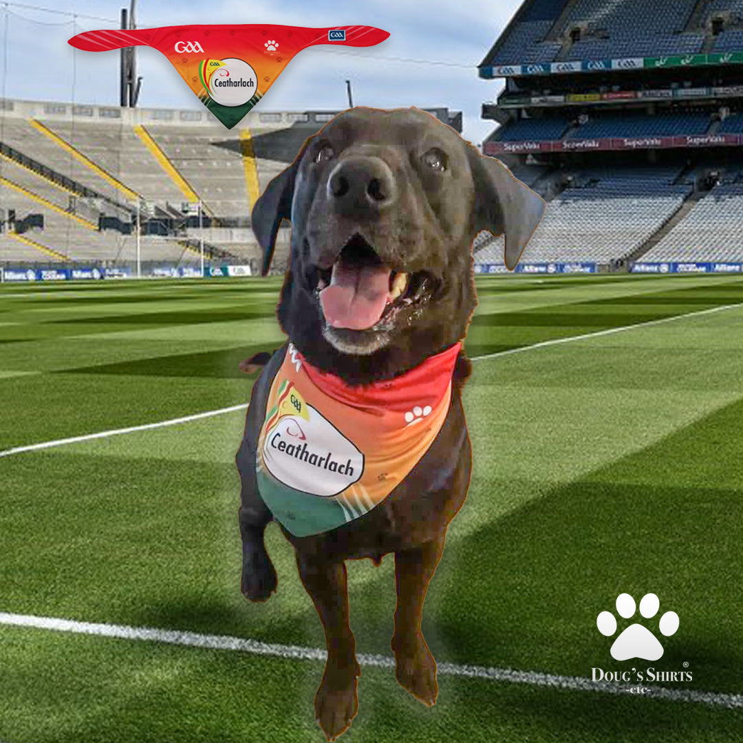 Carlow GAA Pet Bandanas