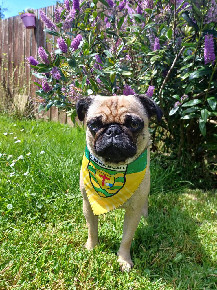 Dog Wearing Donegal GAA PET Bandana