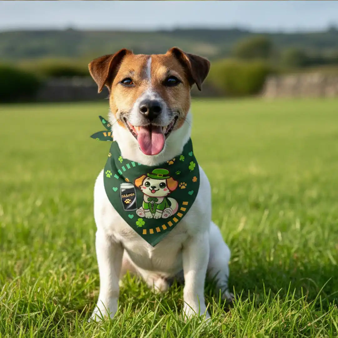 Sláinte Madra - Irish Themed Bandana