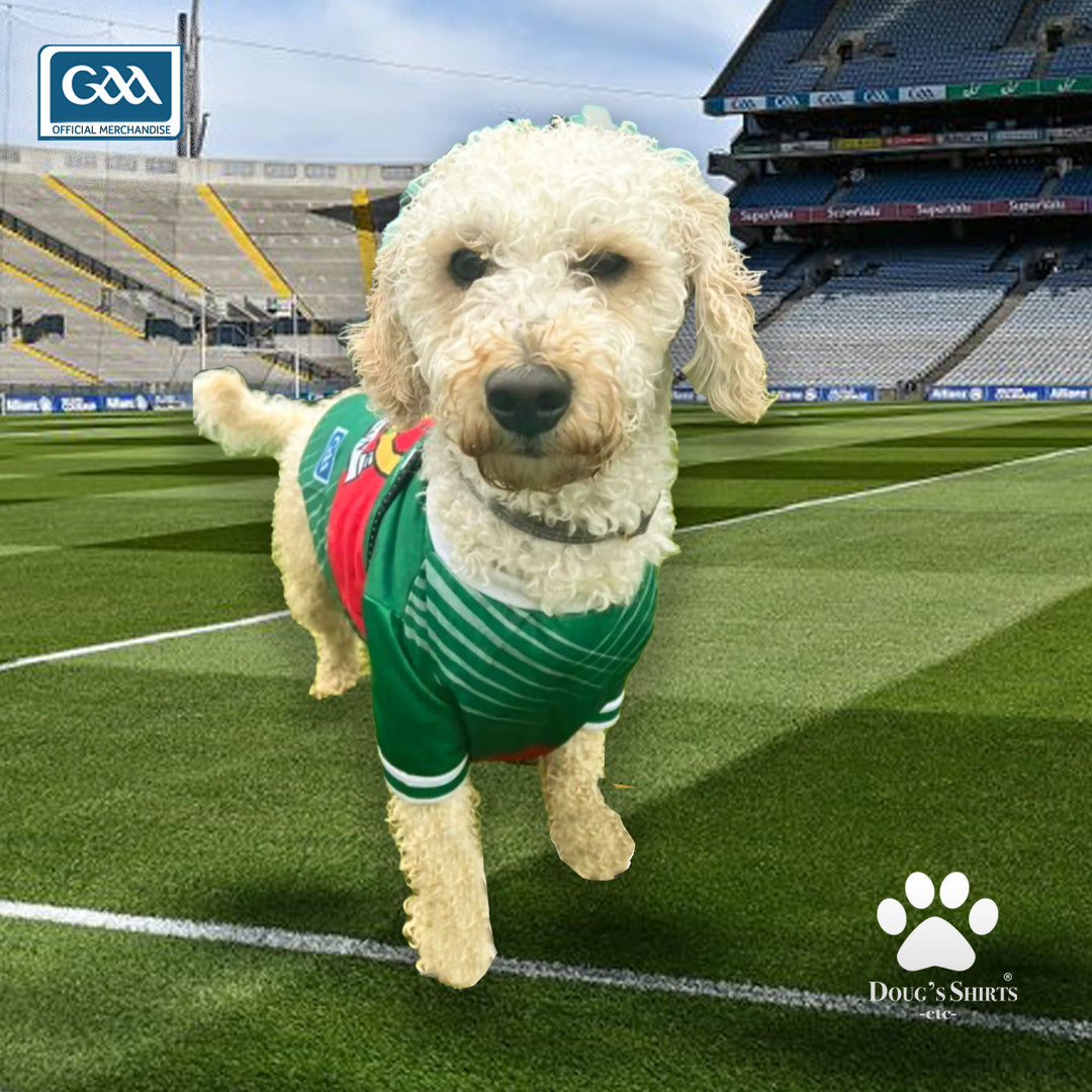 Mayo GAA Pet Jersey
