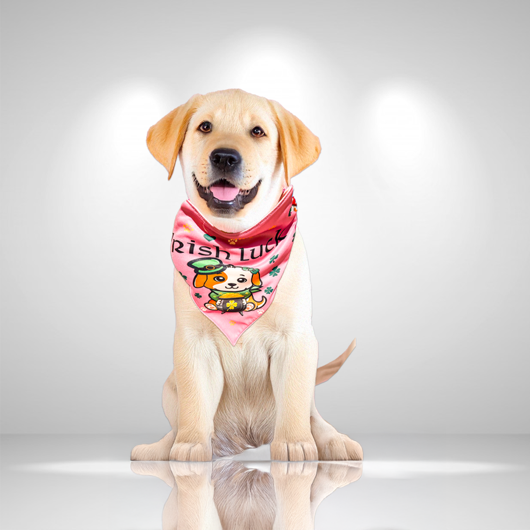 Pink Irish Dog Bandana