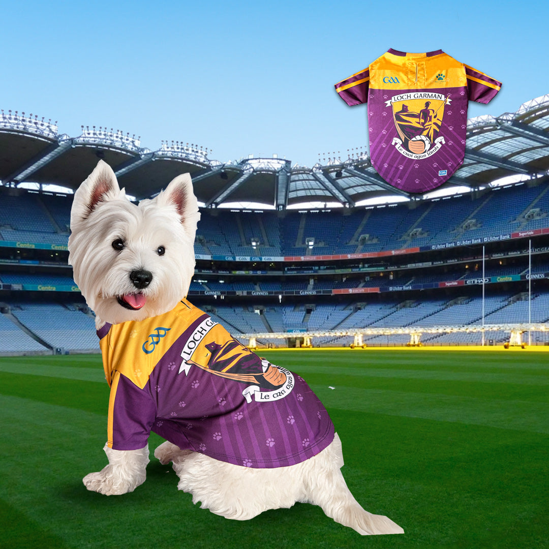 Wexford Pet Jersey