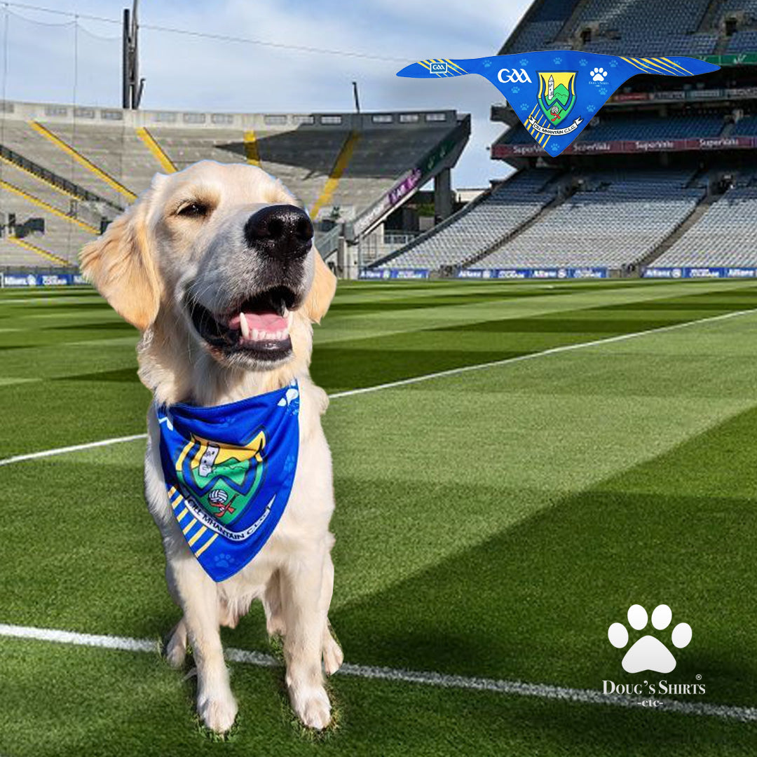Dog Wearing Wicklow GAA DOG Bandana