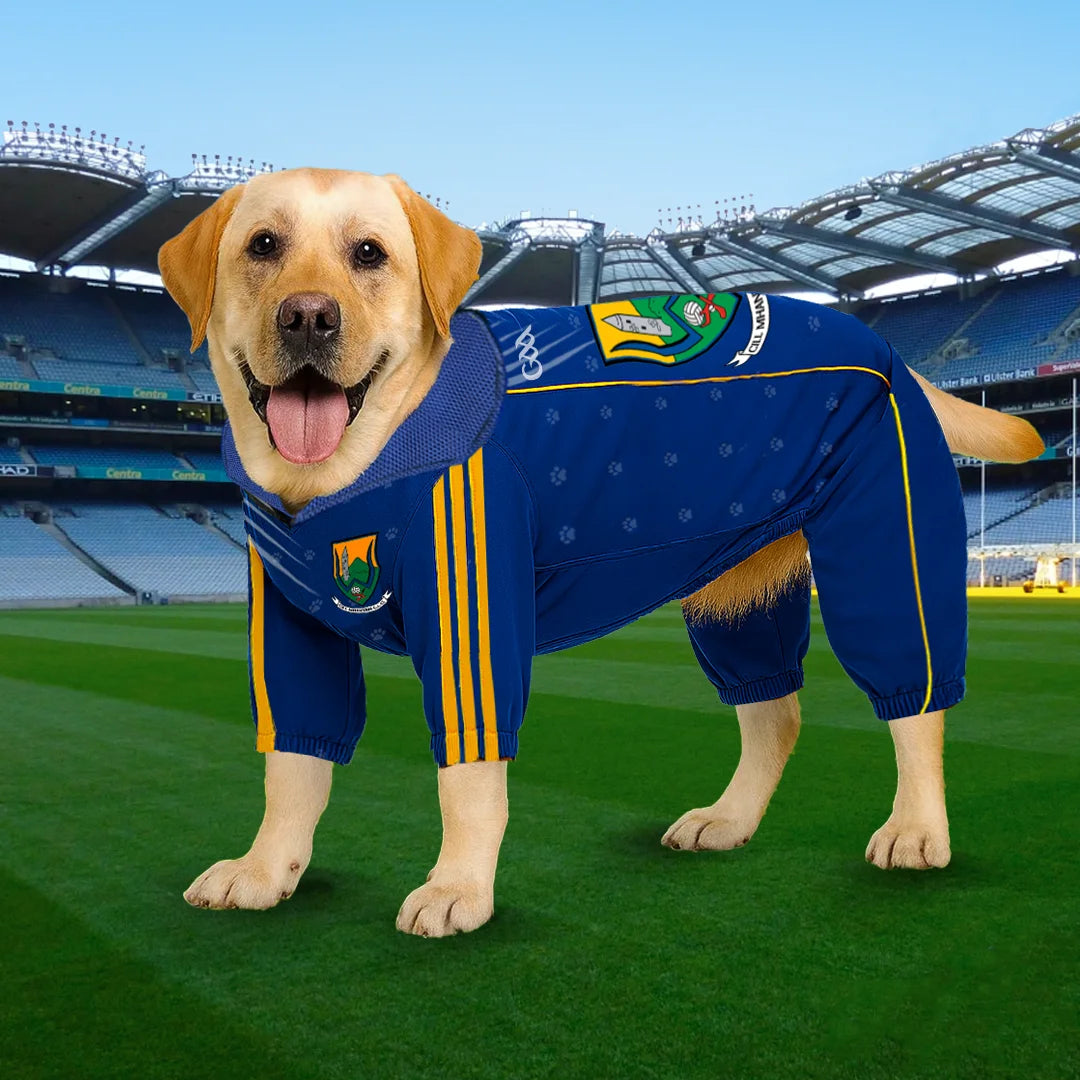 Wicklow Dog Raincoat