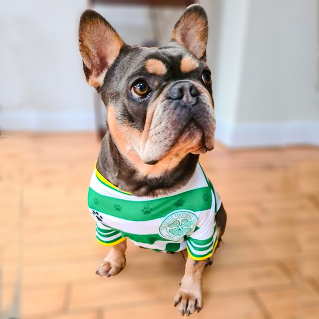 Celtic FC Official Pet Jersey