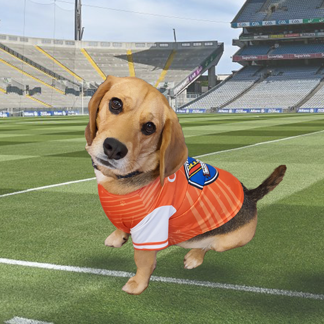 Armagh GAA Pet Jersey