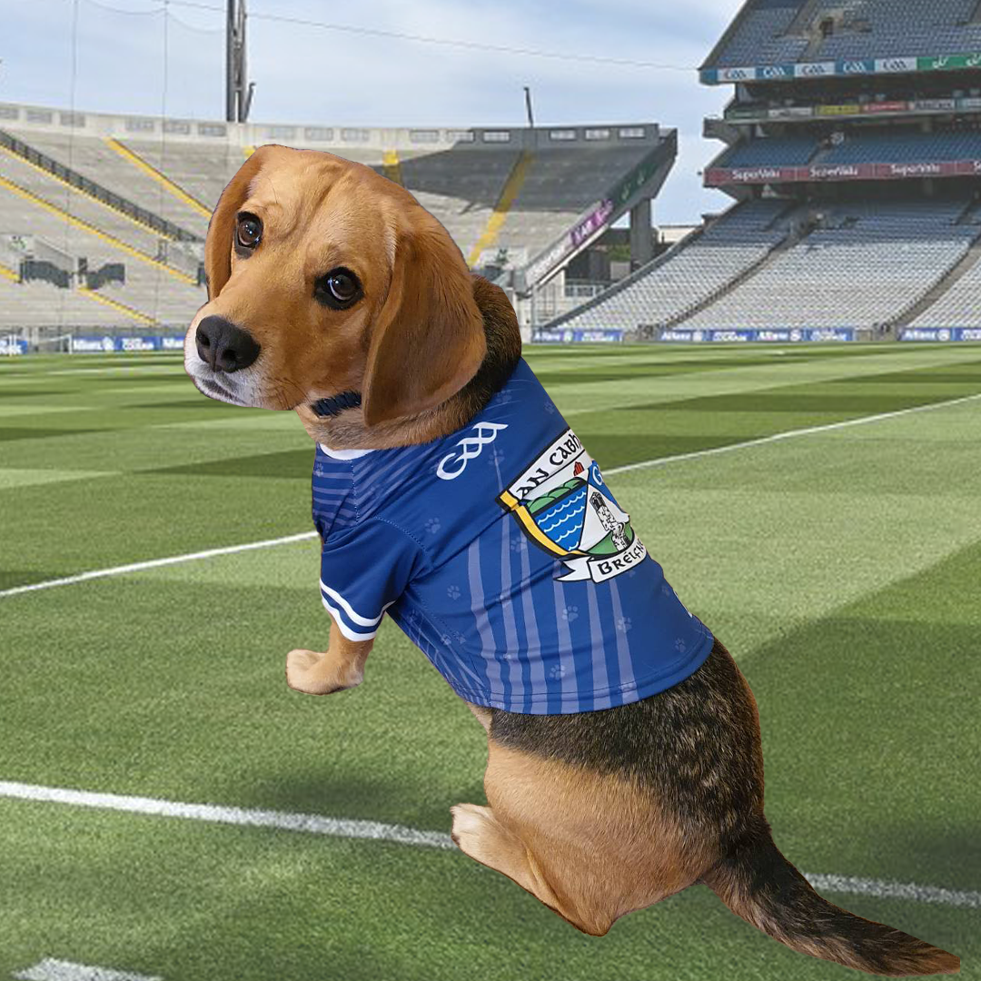 Cavan GAA Pet Jersey