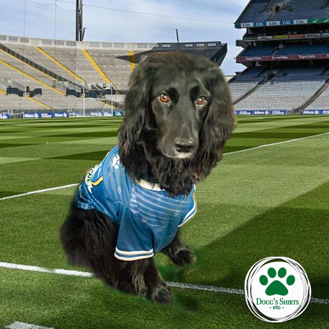 Cavan GAA Pet Jersey