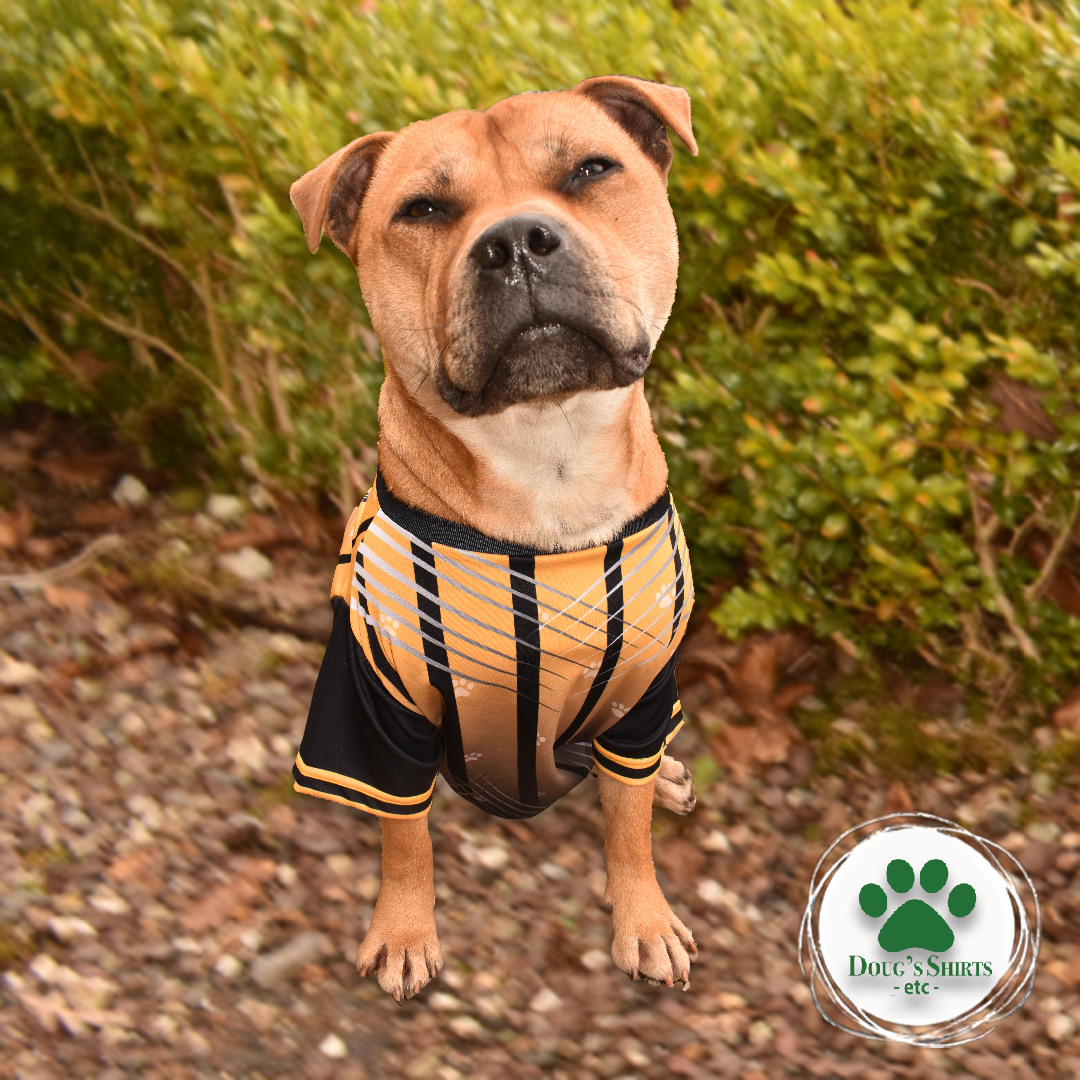 Kilkenny GAA Pet Jersey