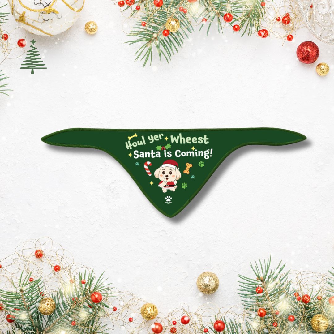 Pawsome Christmas Bandanas!