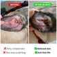 Allergy & Itch Natural Supplement for Dogs