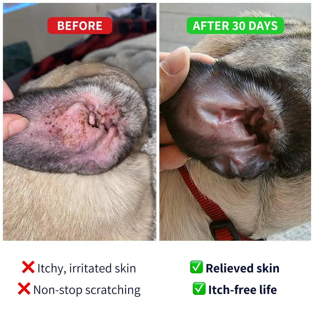Allergy & Itch Natural Supplement for Dogs