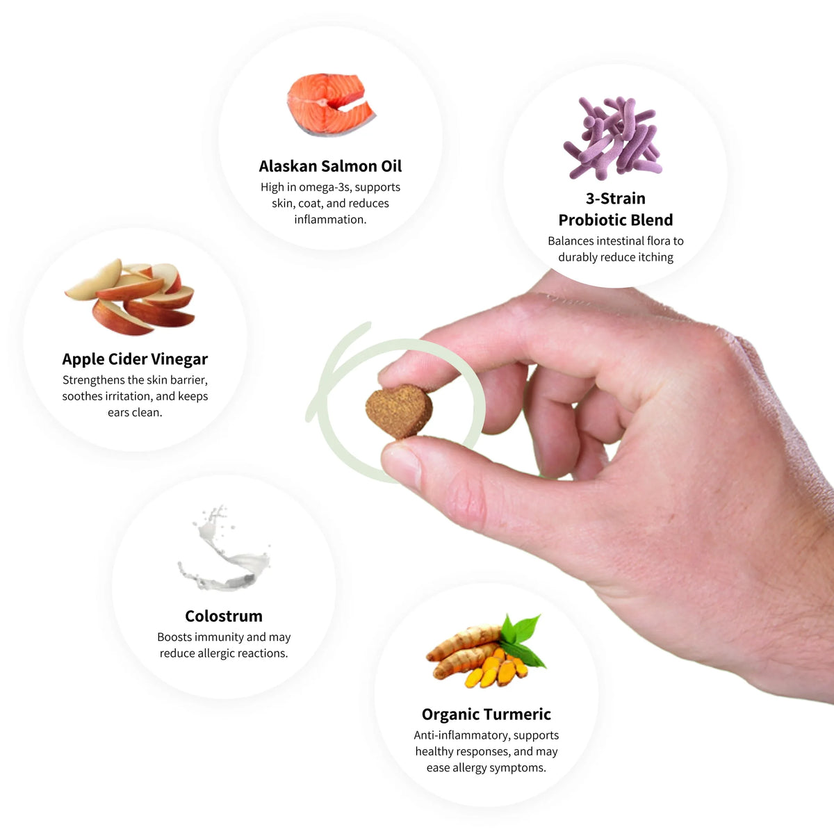 Allergy & Itch Natural Supplement for Dogs