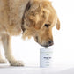 Allergy & Itch Natural Supplement for Dogs