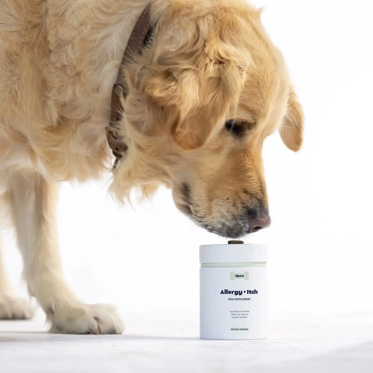 Allergy & Itch Natural Supplement for Dogs