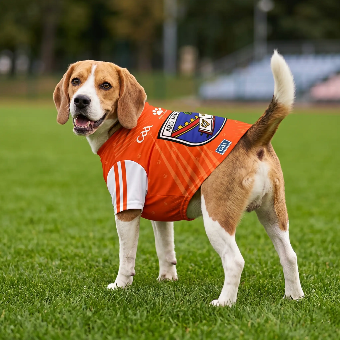 Armagh GAA Pet Jersey