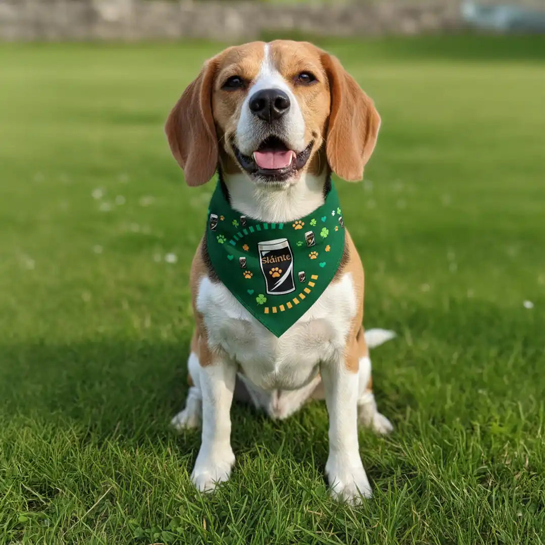 Sláinte & Stout - Irish Themed Bandana