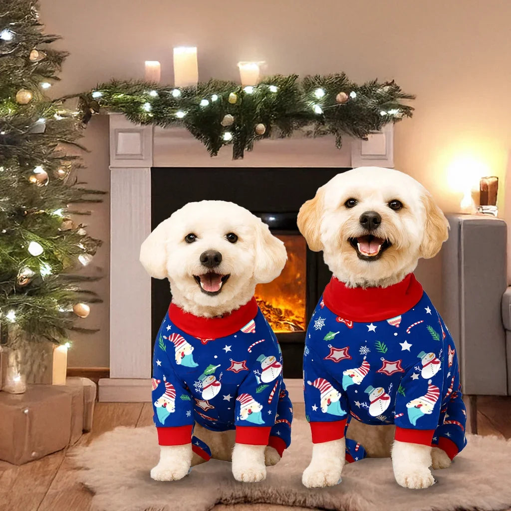 Festive Gnome Onesie and Jumper