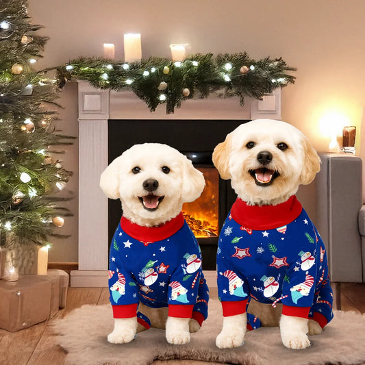 Festive Gnome Onesie and Jumper