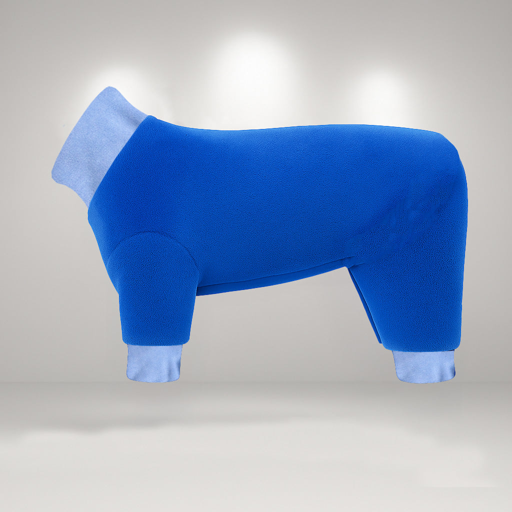 "Blue for You" Fleece Onesie and Jumper