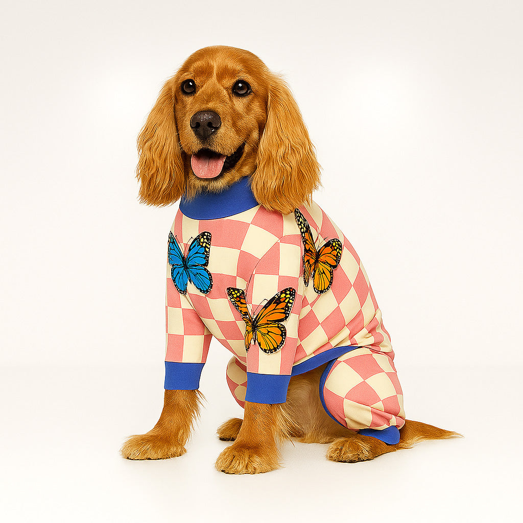 SALE!!!  Onesies, Jumpers and Vests