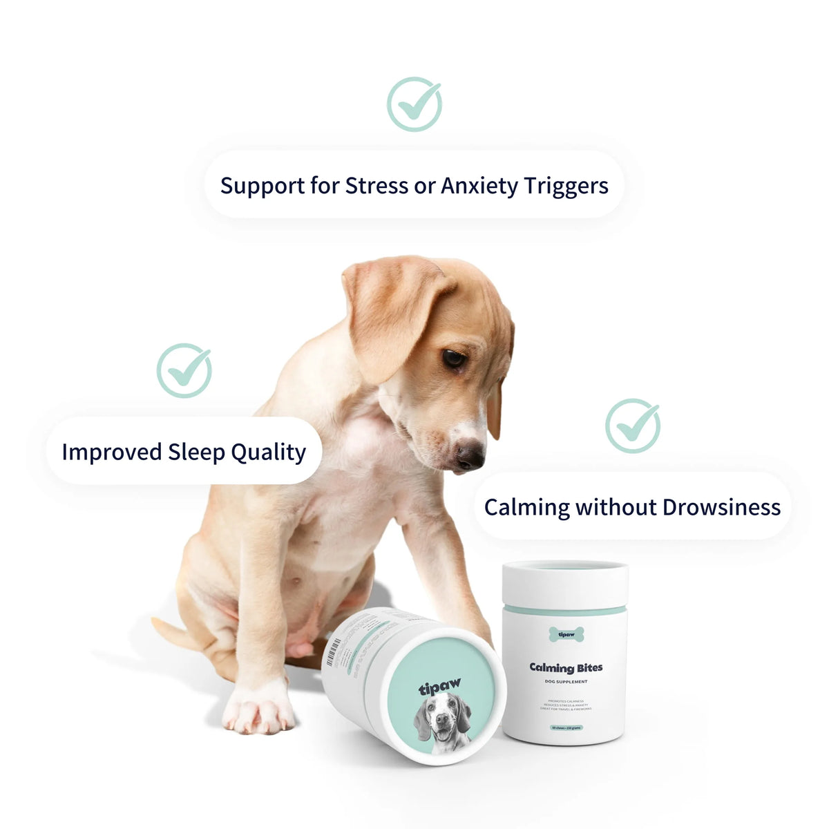 Calming Bites