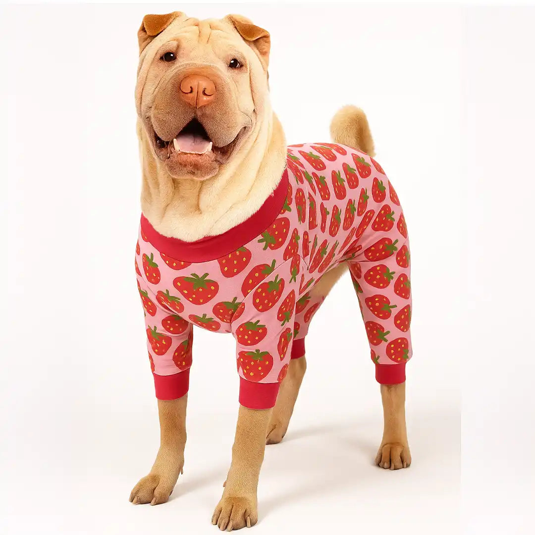 Strawberry Heart Onesie and Jumper