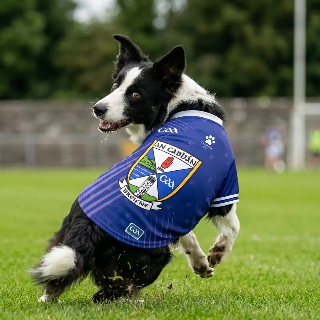 Cavan GAA Pet Jersey