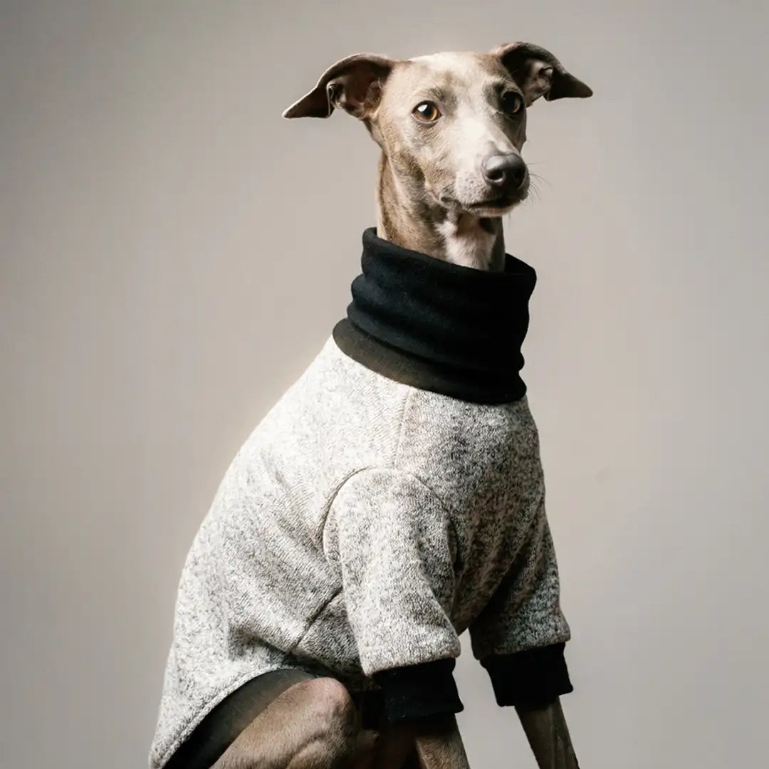 Classic Gray Onesie and Jumper