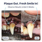 Dental Care