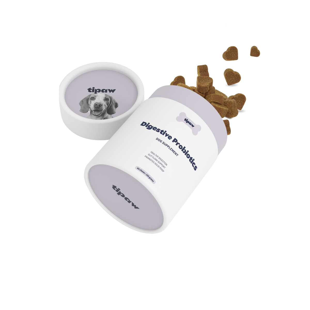 Digestive Probiotics