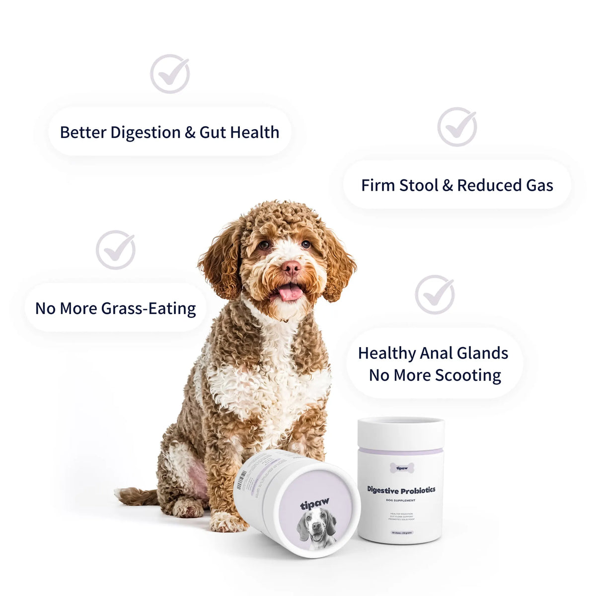 Digestive Probiotics