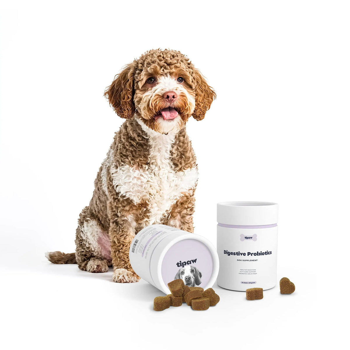Digestive Probiotics