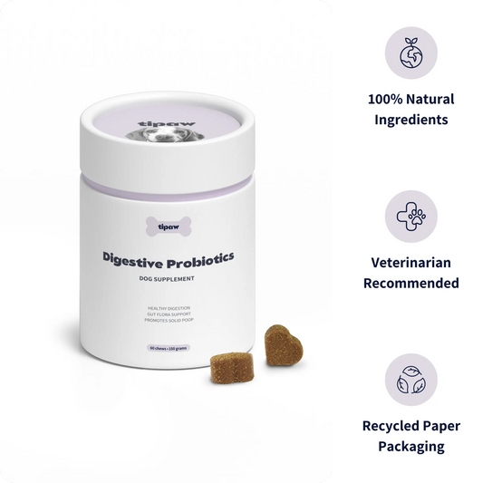 Digestive Probiotics