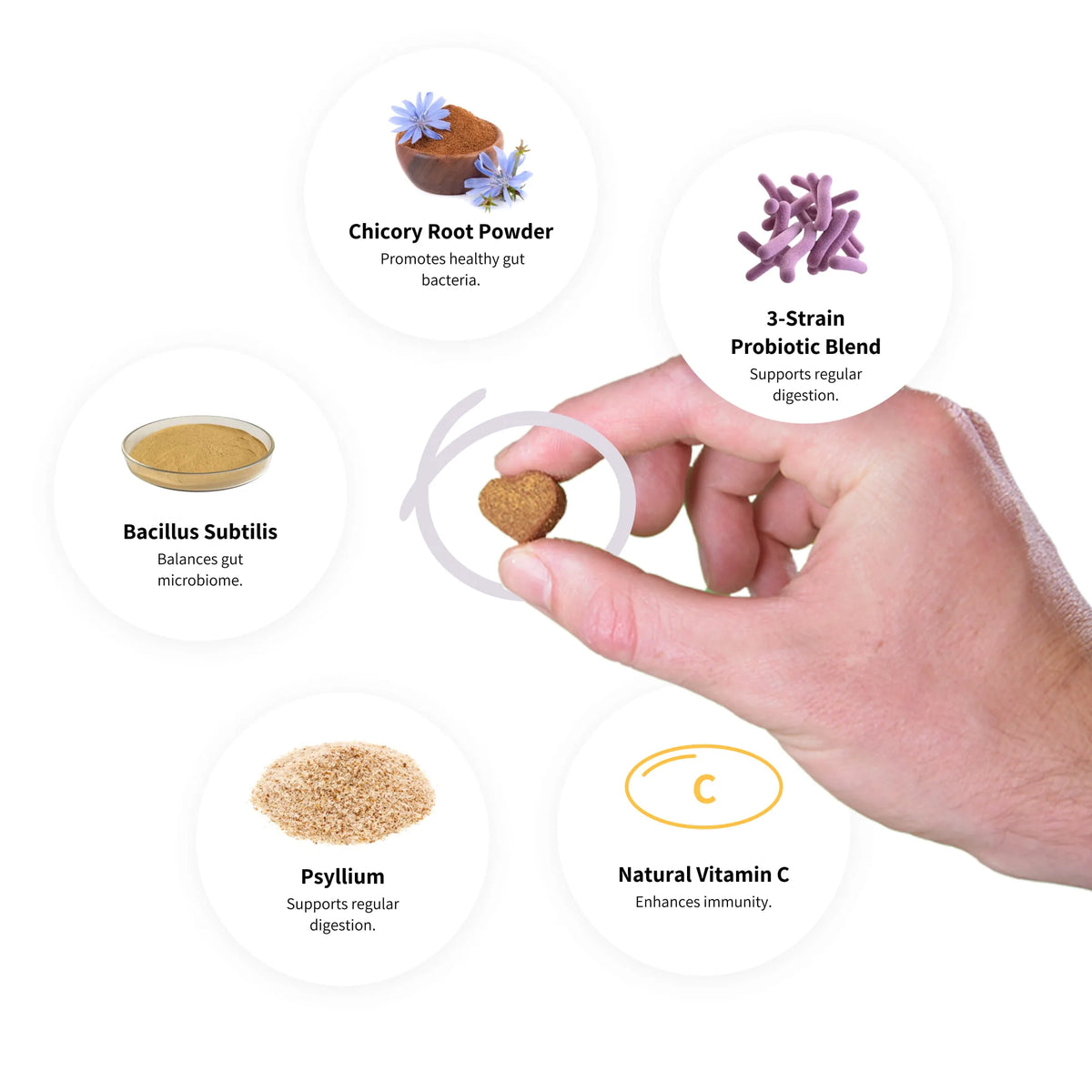 Digestive Probiotics