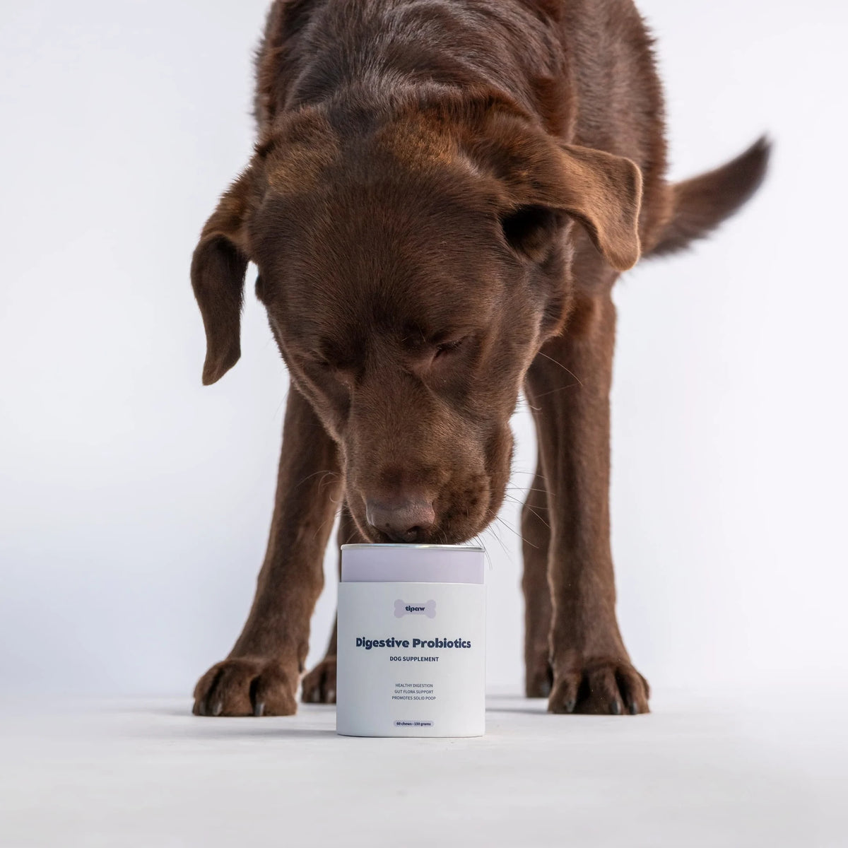 Digestive Probiotics