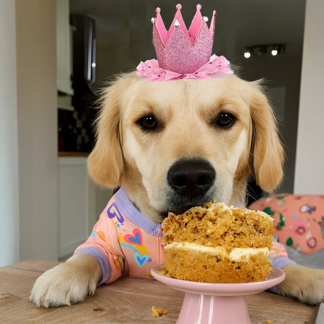 Birthday Blast Collection!